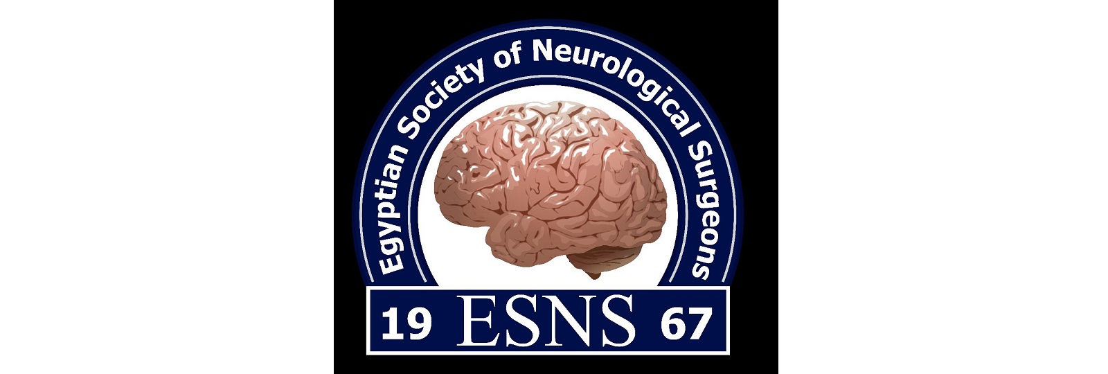 Egyptian Society of Neurological Surgeons
