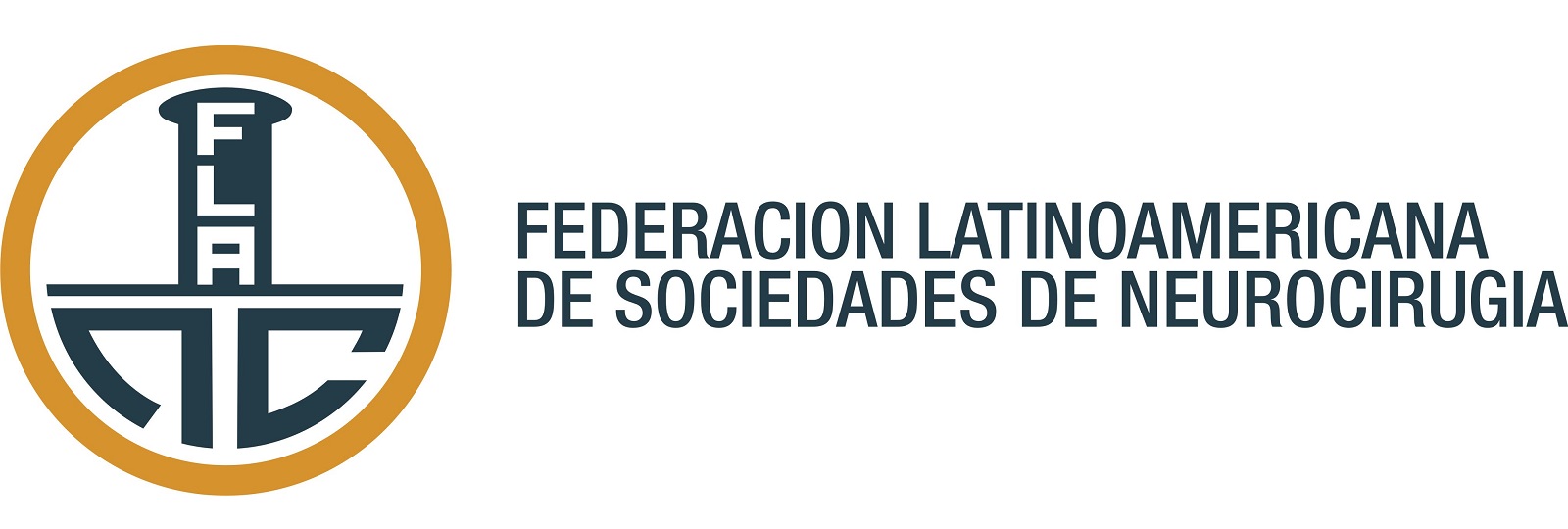 Federacion Latino Americana De Sociedades De Neurocirugia